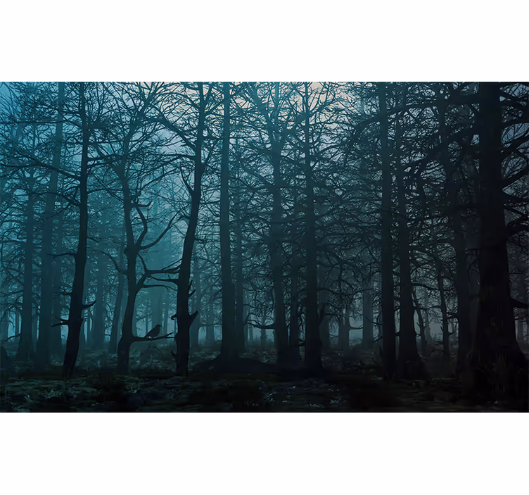 Bedroom blind polish forest birches with a bird - TenStickers
