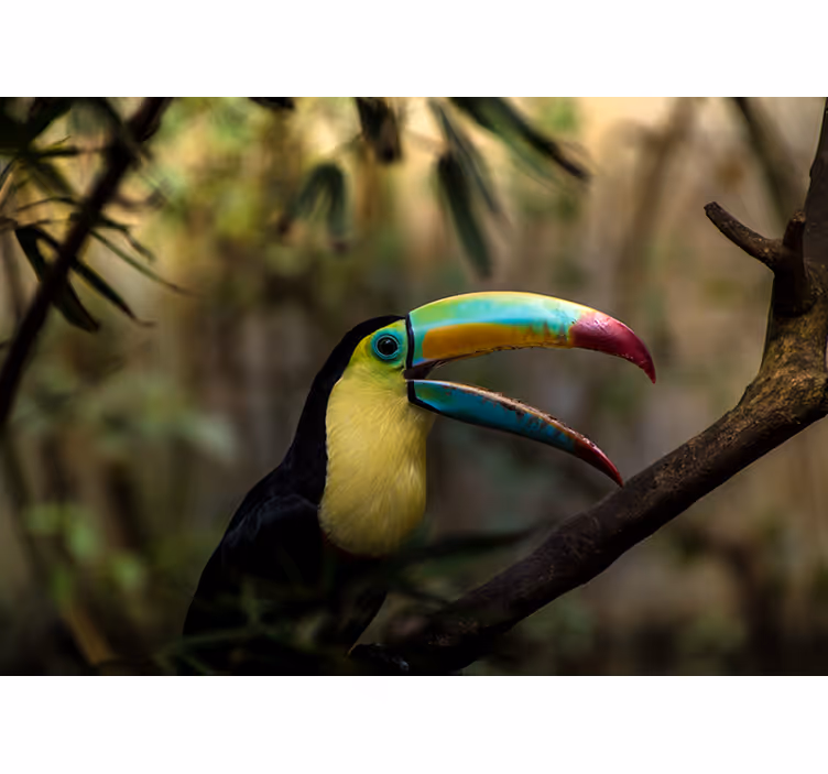Tucan in jungle bedroom blind - TenStickers