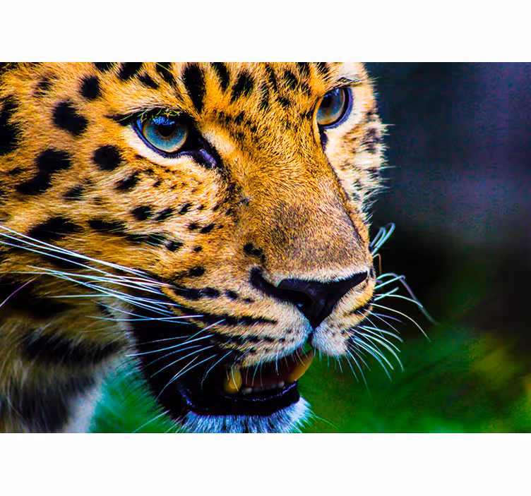 Leopard face bedroom blind - TenStickers