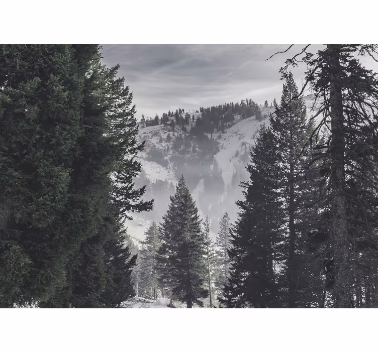 Living room blind in mountain green forest - TenStickers