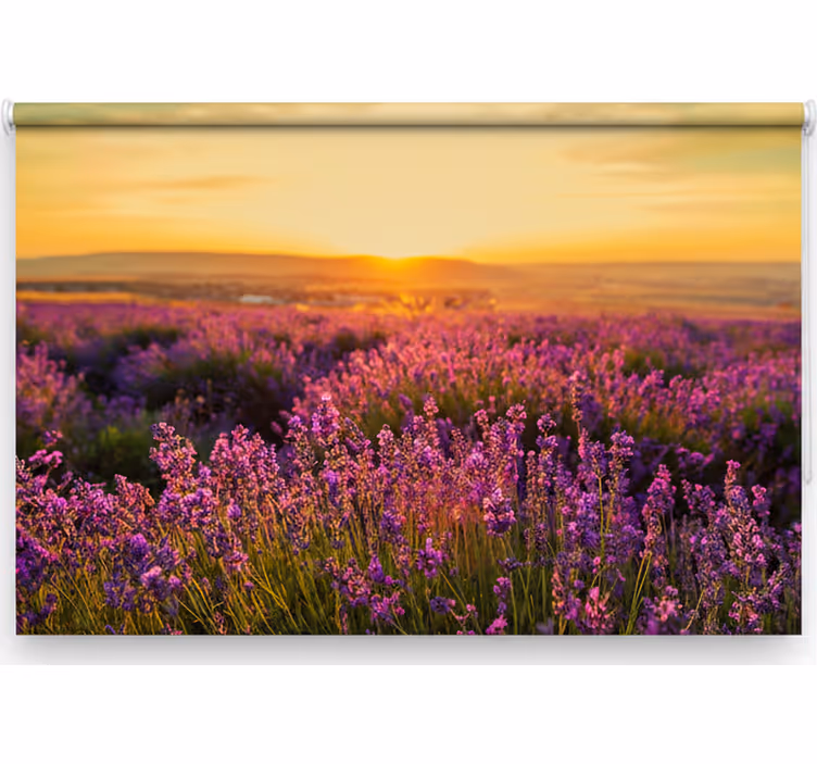 Bedroom blind panoramic provence - TenStickers