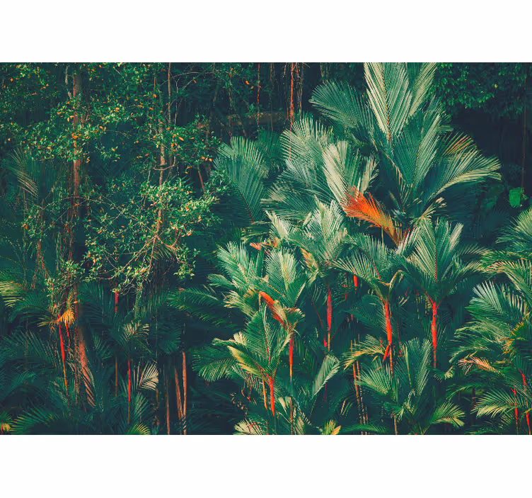 Bedroom blind jungle morning - TenStickers