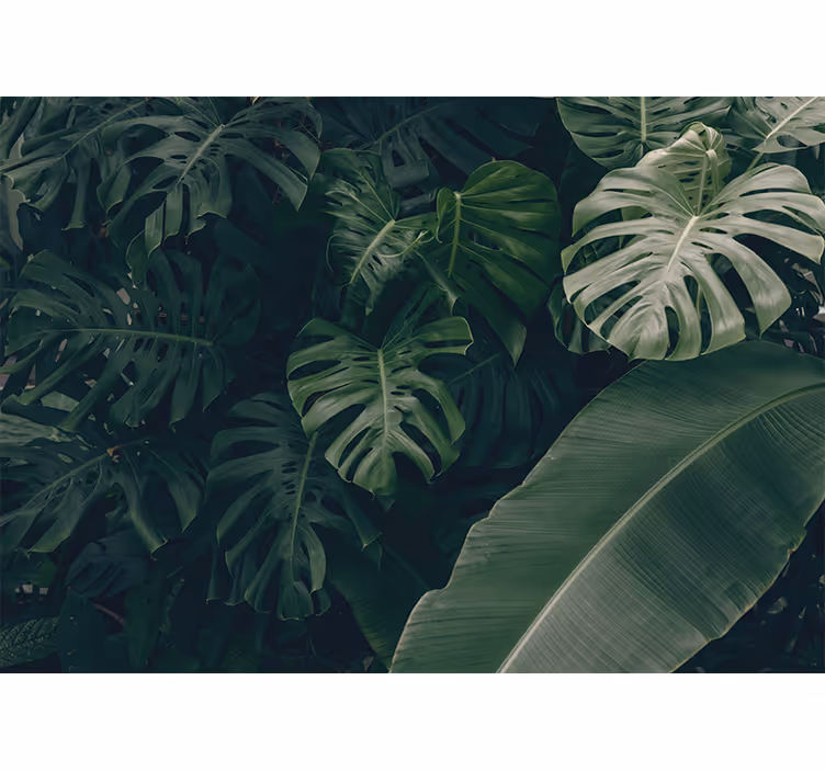 Bedroom blind in beautiful green jungle forest - TenStickers