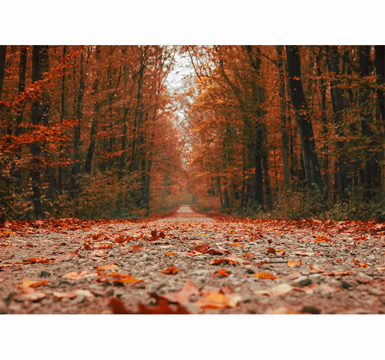 Bedroom blind with beautiful colorful autumn leaves - TenStickers