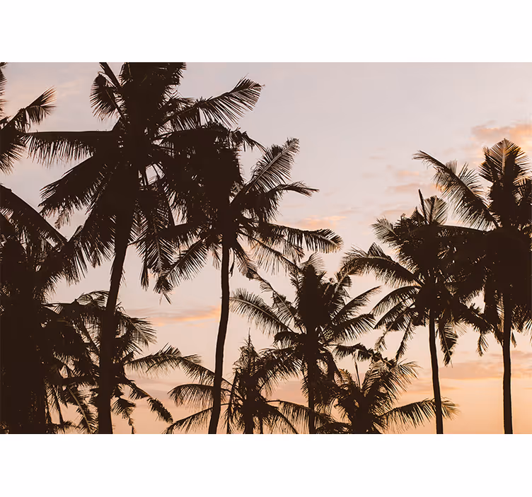 Bedroom blind sunset palm tree - TenStickers