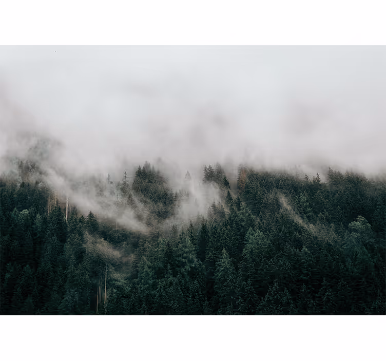 Bedroom blind in forest misty clouds design - TenStickers