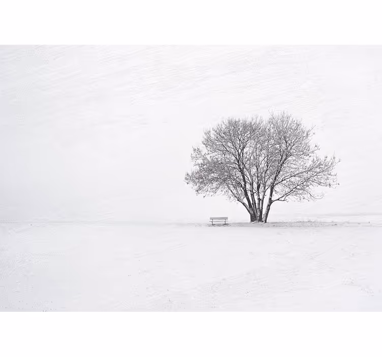 White blind scandinavian winter snow tree design - TenStickers