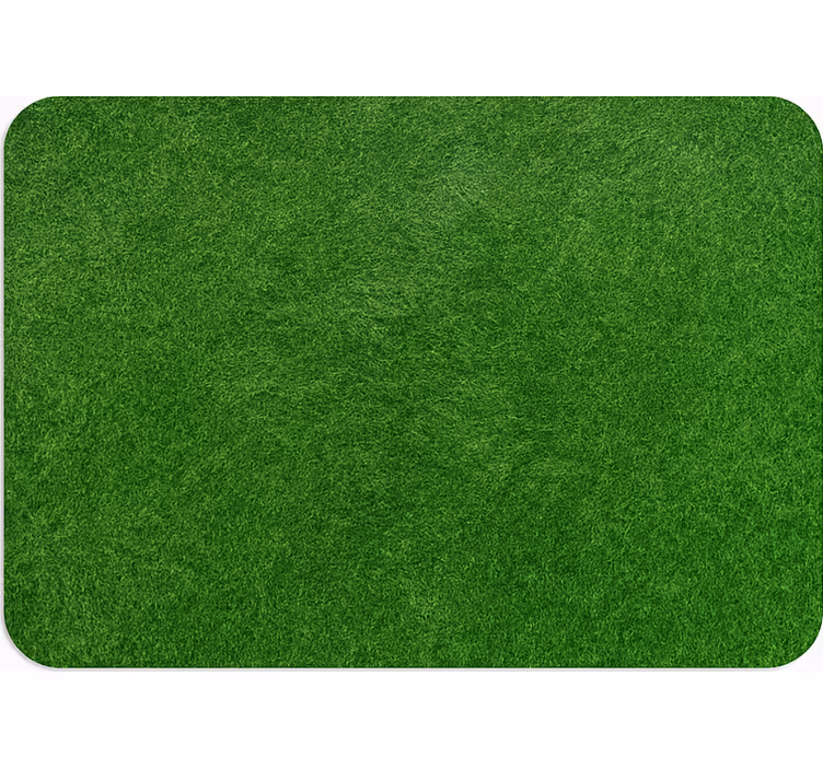 Living room blind with artificial grass effect - TenStickers