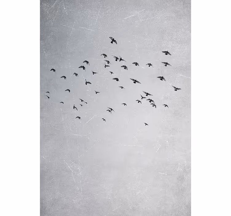 Bedroom blind with soaring birds design - TenStickers