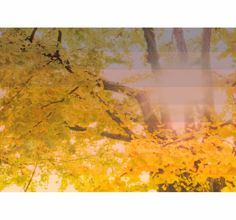 Sparkling autumnal scene childrens blind - TenStickers