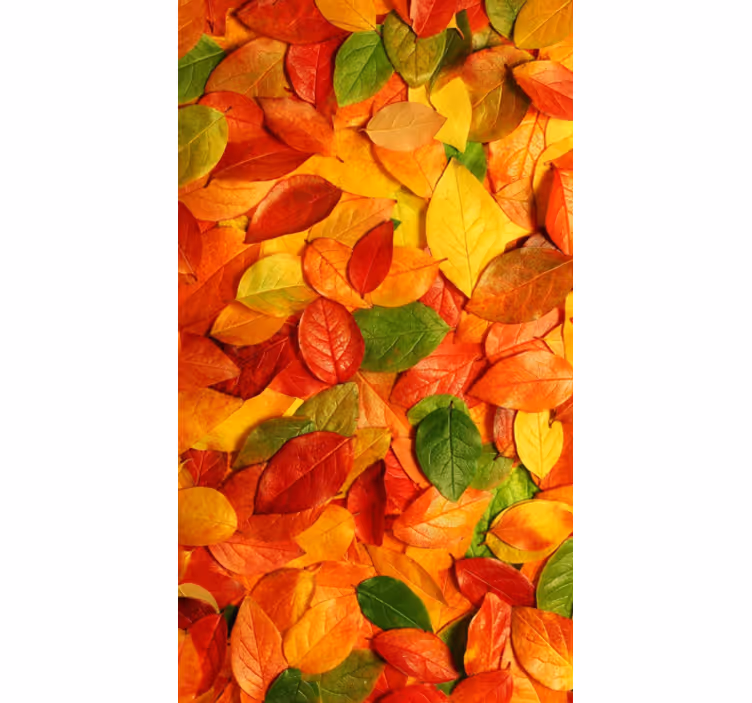 Kitchen blind autumn leaf floor vinyl decor - TenStickers