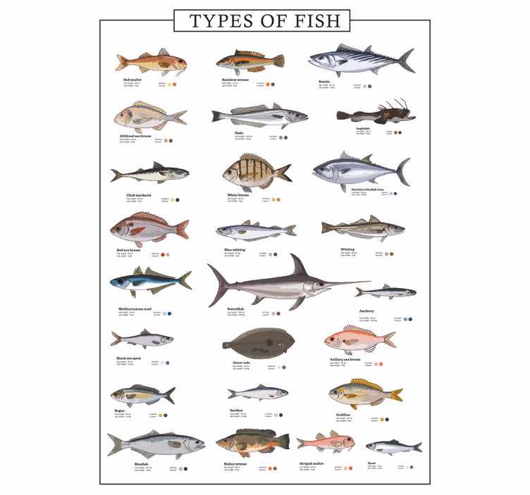 Kitchen blind with fish design - TenStickers