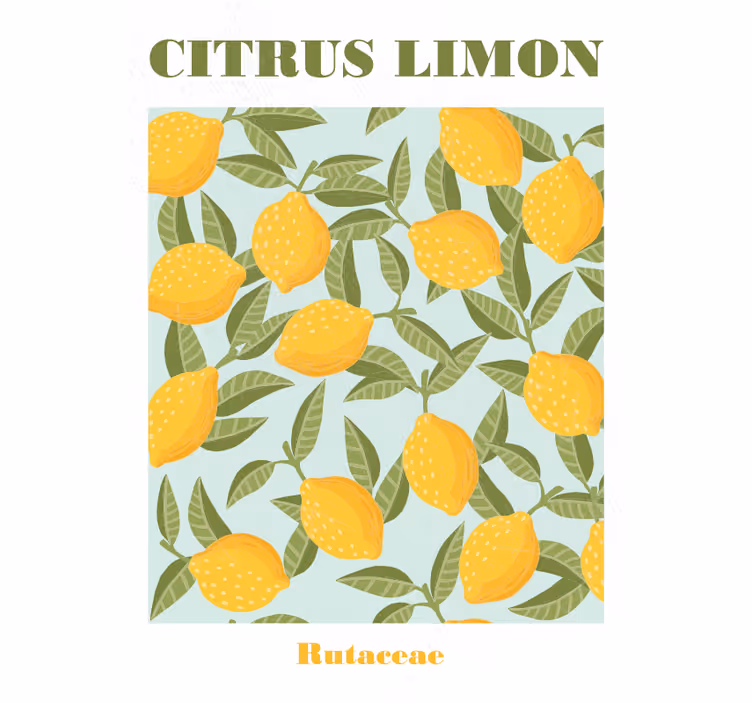 Kitchen blind lemon fruit design - TenStickers