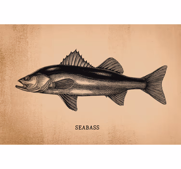 Beige blind realistic hand-drawn seabass - TenStickers