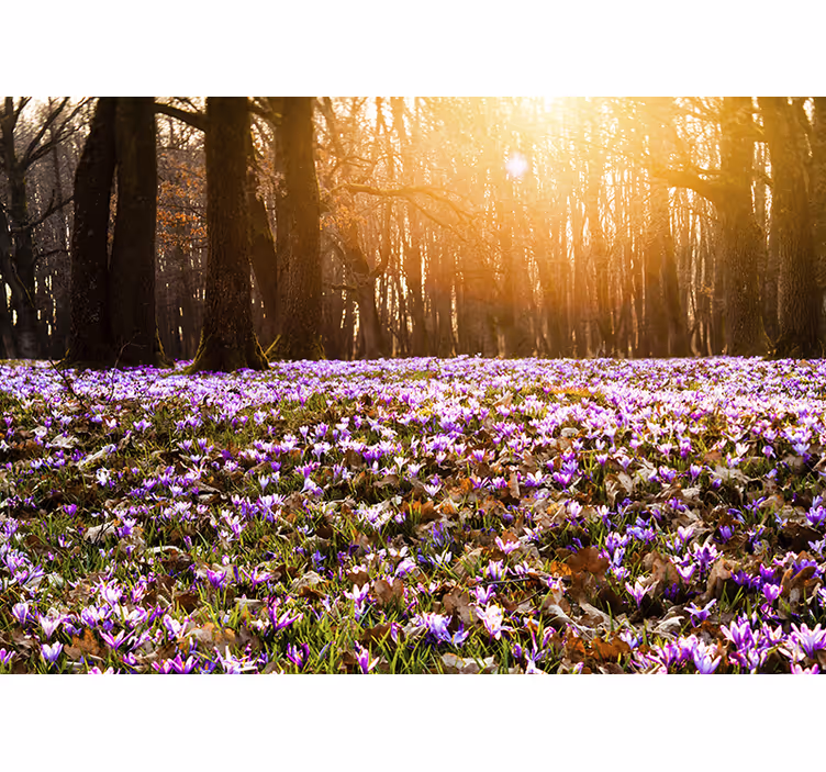 Living room blind in beautiful purple crocus landscape - TenStickers
