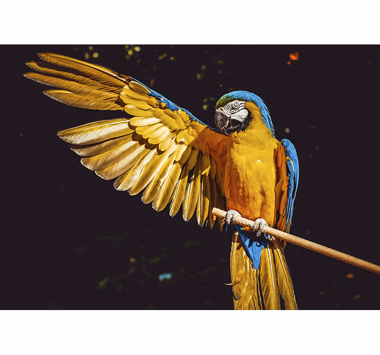 Tropical birds bedroom blind - TenStickers