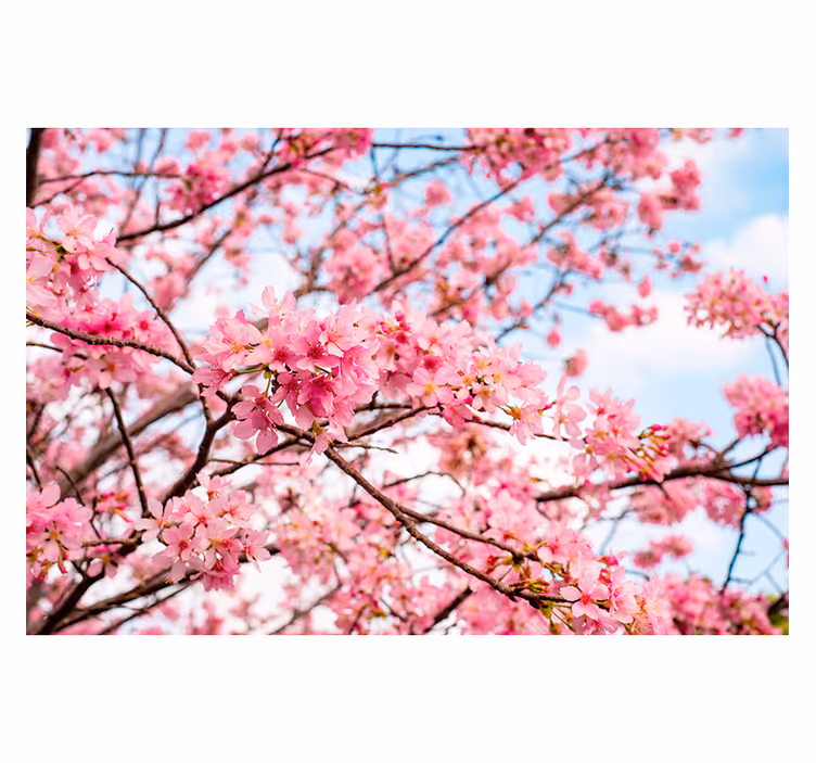 Bedroom blind with cherry blossom sky design - TenStickers