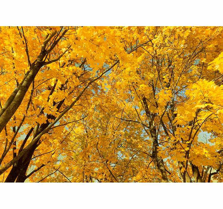 Bedroom blind yellow autumn leaves - TenStickers
