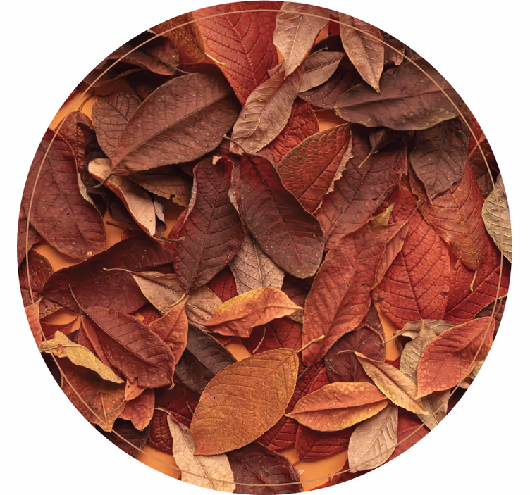 Autumnal dark floor bedroom blind - TenStickers