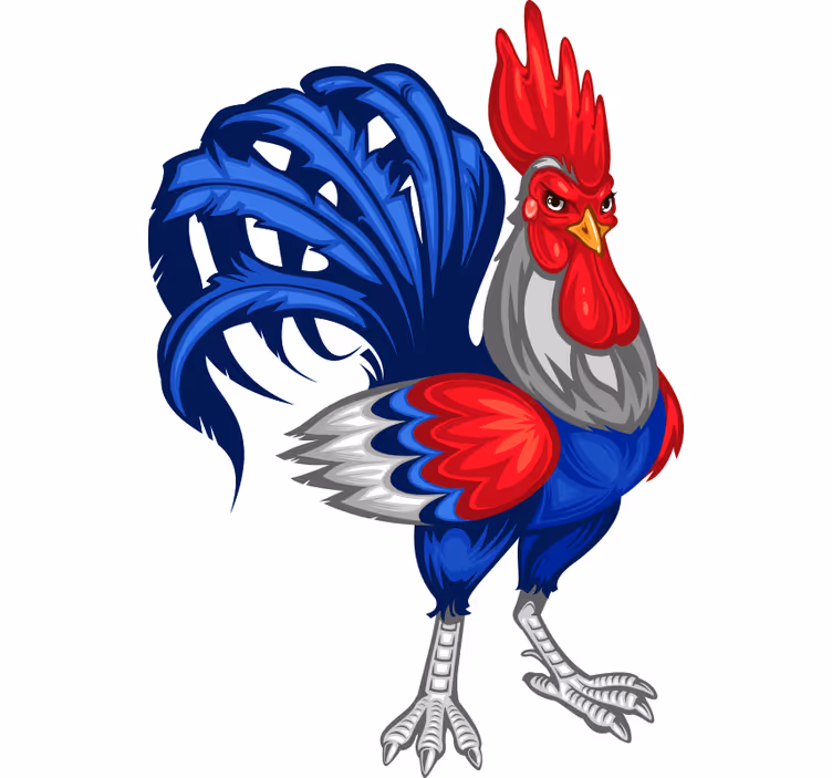Teenage roller blind french rooster vinyl decor - TenStickers