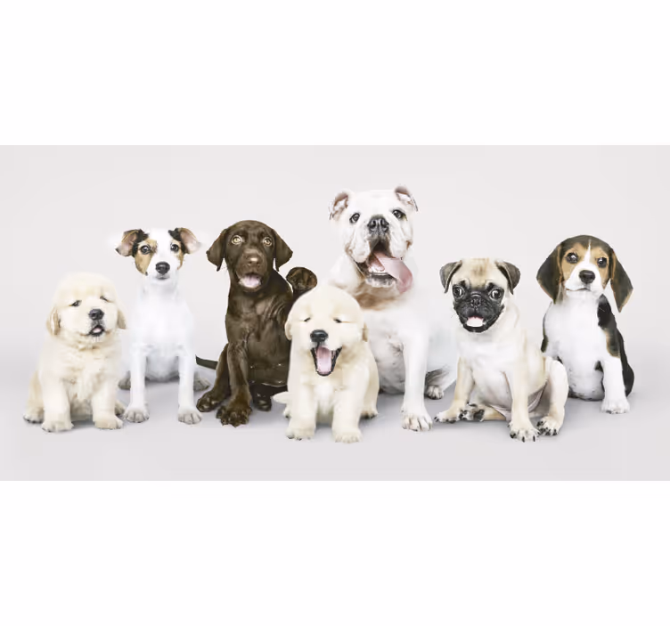 Animal blind for puppy photography - TenStickers