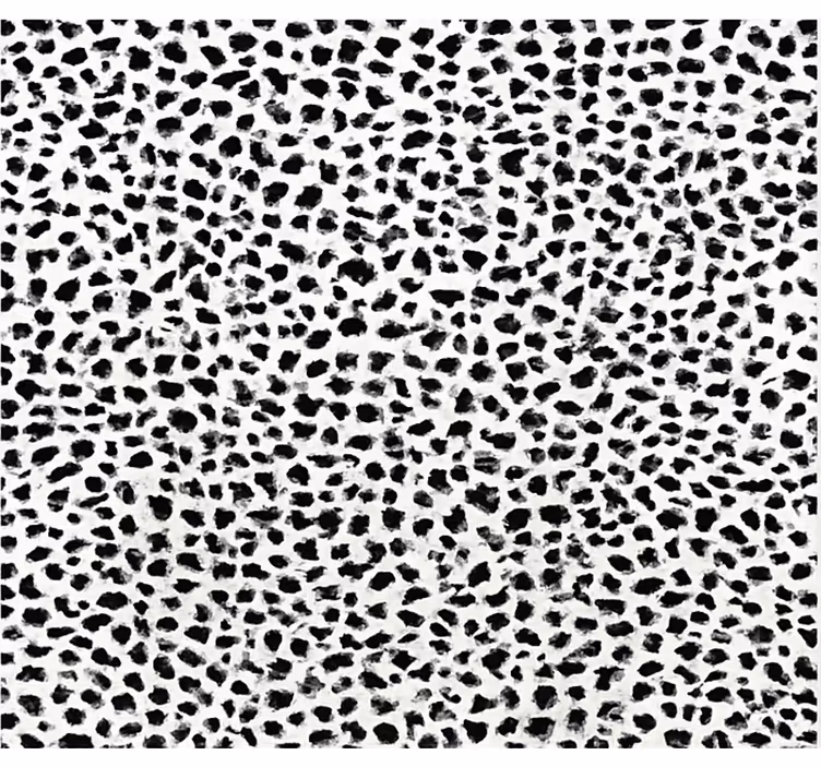 Black blind monochrome leopard pattern - TenStickers