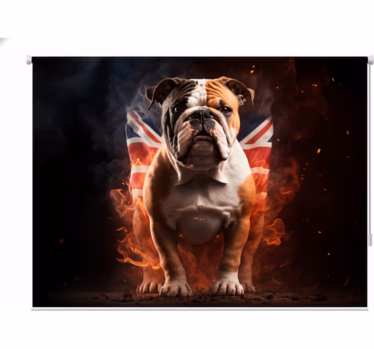 Teenage roller blind british bulldog ablaze - TenStickers