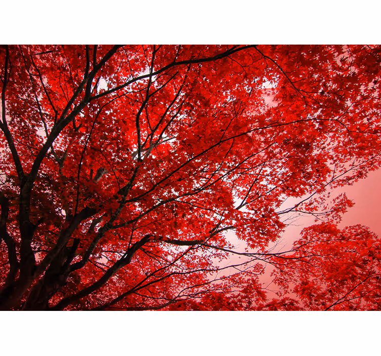 Red blind with crimson twigs - TenStickers