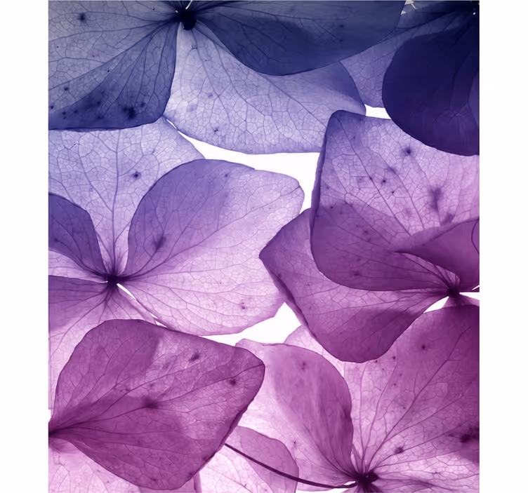 Purple blind in floral joy and serenity - TenStickers