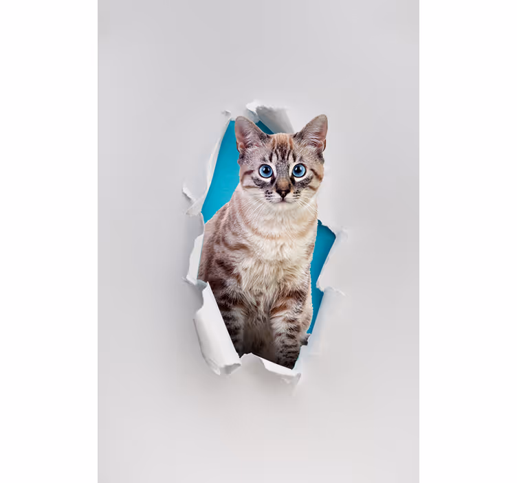 Cat Various animal roller blind - TenStickers