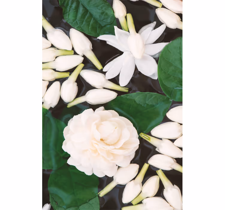 Beautiful sea flower Flower blind - TenStickers