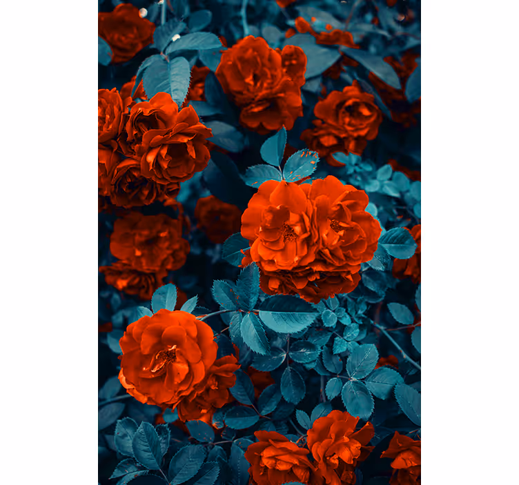 Vibrant Blooming Roses flowers and plant blind - TenStickers