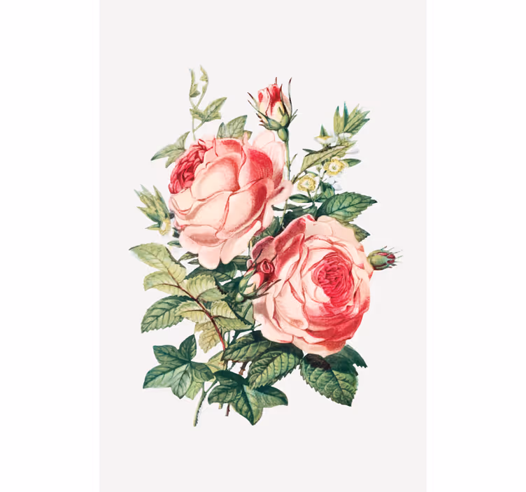 Romantic rose blooms flowers and plant blind - TenStickers