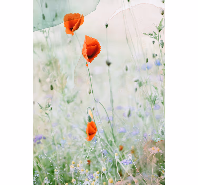 Smudged away red poppies Flower blind - TenStickers