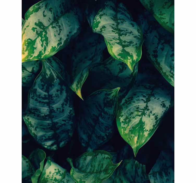 Vibrant green leaves flowers and plant blind - TenStickers