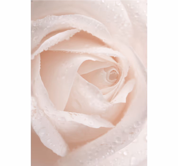 Delicate Rose Petal flower blind - TenStickers