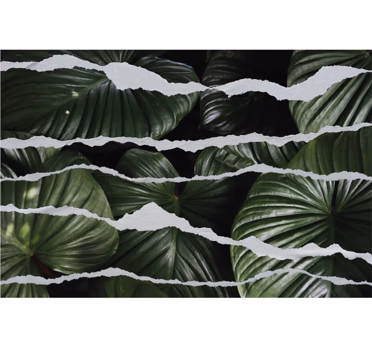 Torn leaf patterns kitchen blind - TenStickers