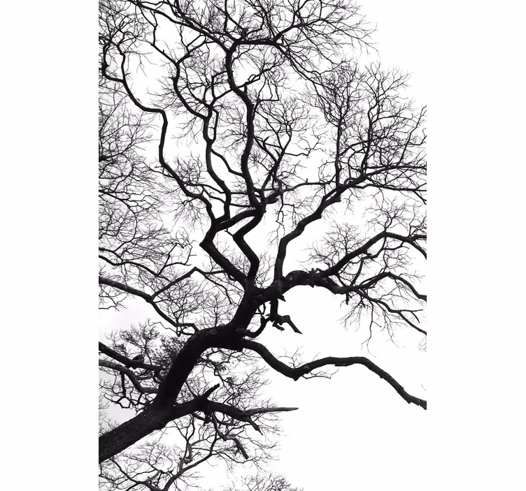 Single wood branch rupture Blind painting - TenStickers