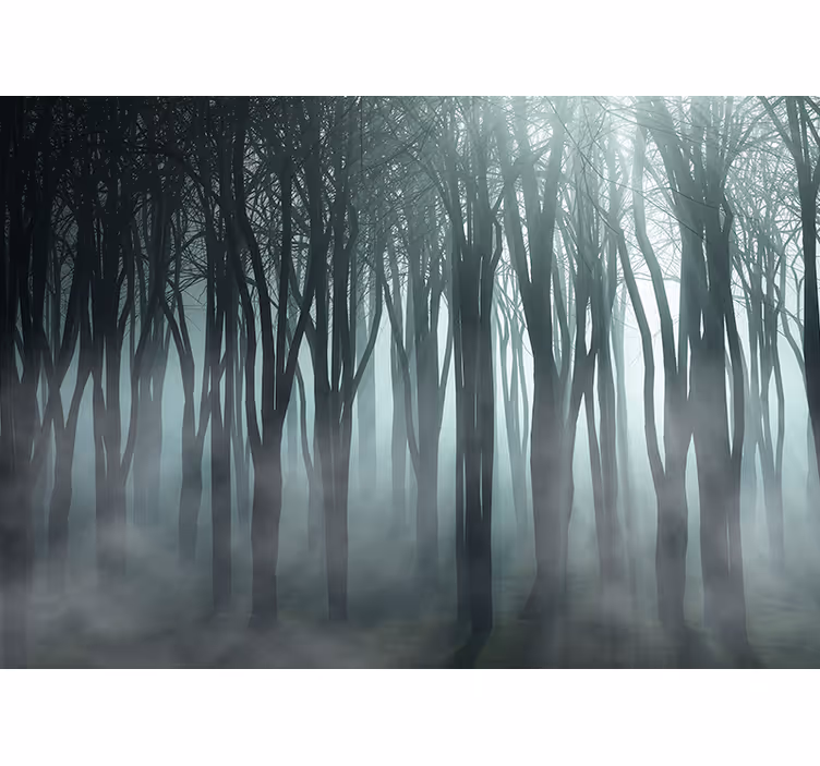 Misty Forest Silhouette tree roller blind - TenStickers