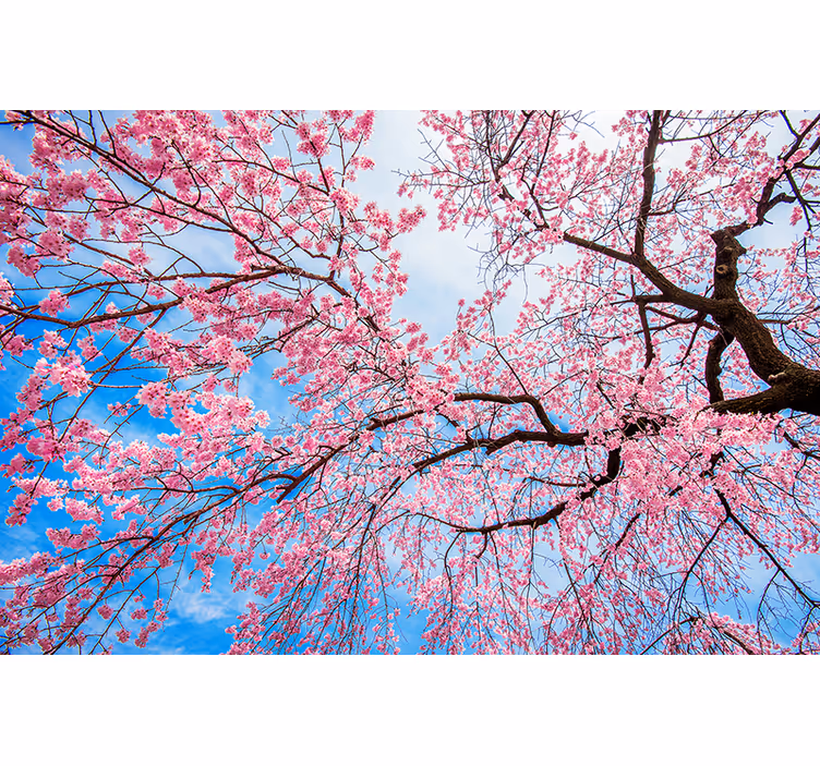 Sakura Limb more flowers and plant blind - TenStickers