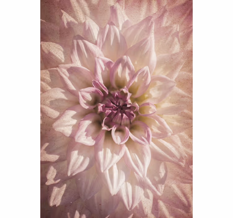 Delicate bloom flowers and plant blind - TenStickers