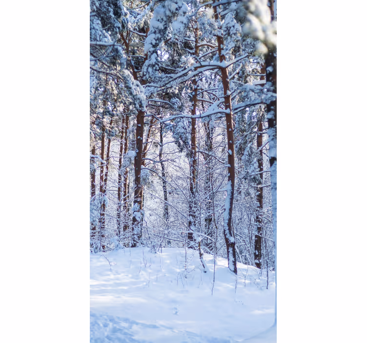 Snowy Pine Forest tree roller blind - TenStickers