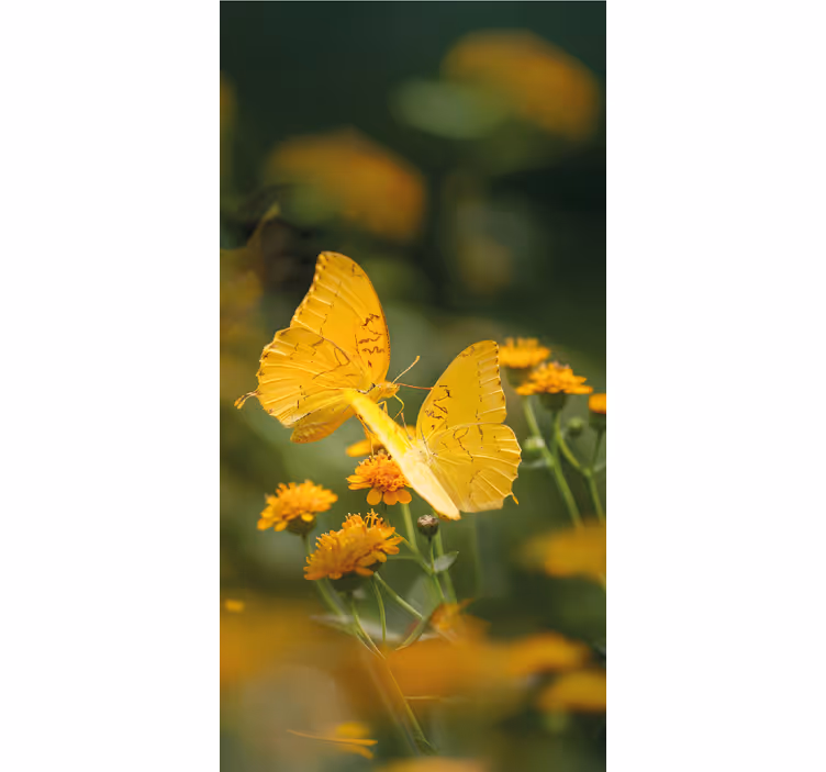 Realistic yellow wings butterfly blind - TenStickers