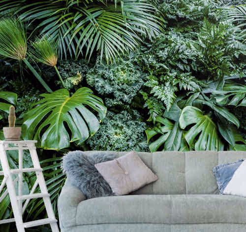 Wall Murals Wall Murals