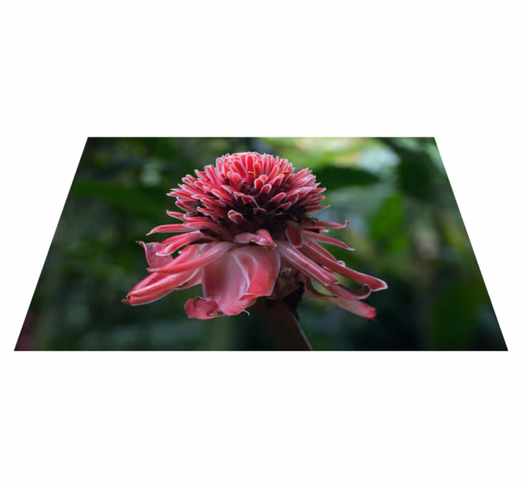 Original placemat tropical floral design - TenStickers