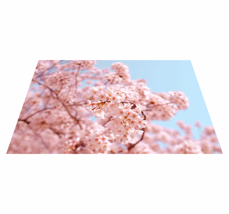 Pink cherry blossom and tree  floral placemats - TenStickers