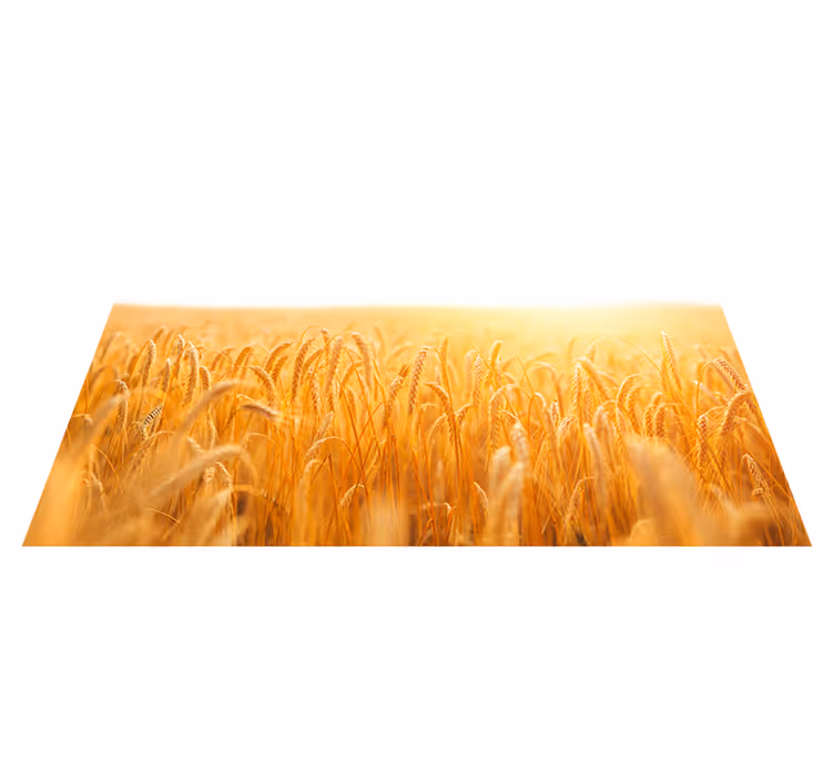 Wheat field aesthetic colours placemats - TenStickers