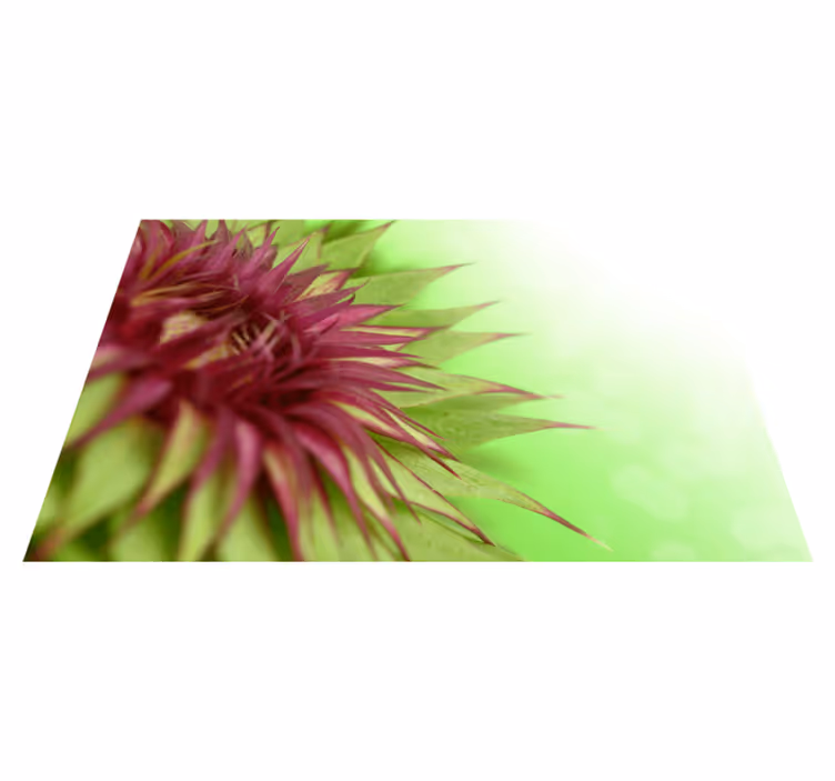 ThistleThistle is a prickly flowering plant of the daisy family,  - TenStickers