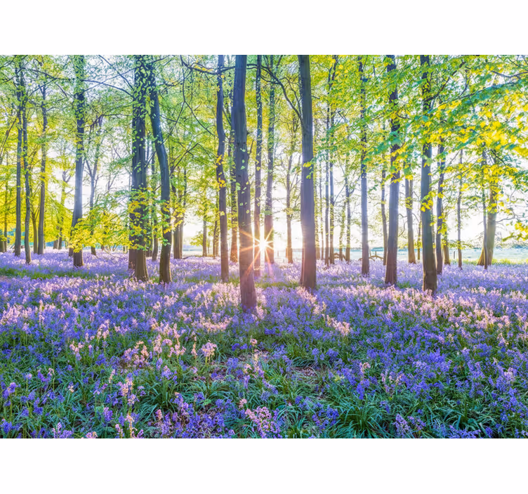 Forest wall mural nature-inspired modern design - TenStickers