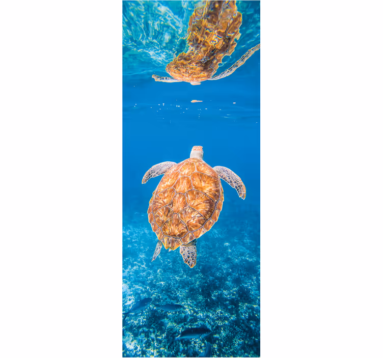 Bathroom mural beautiful turtle underwater - TenStickers